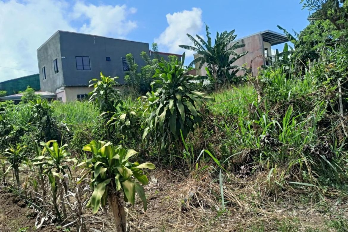 Land for Sale in Malabag, Silang, Cavite – photo 8