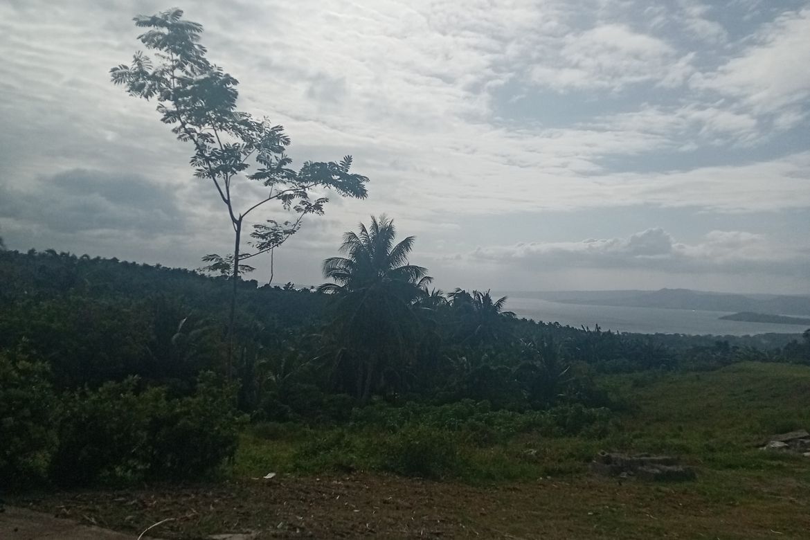 Land for Sale in Malabanan, Balete, Batangas