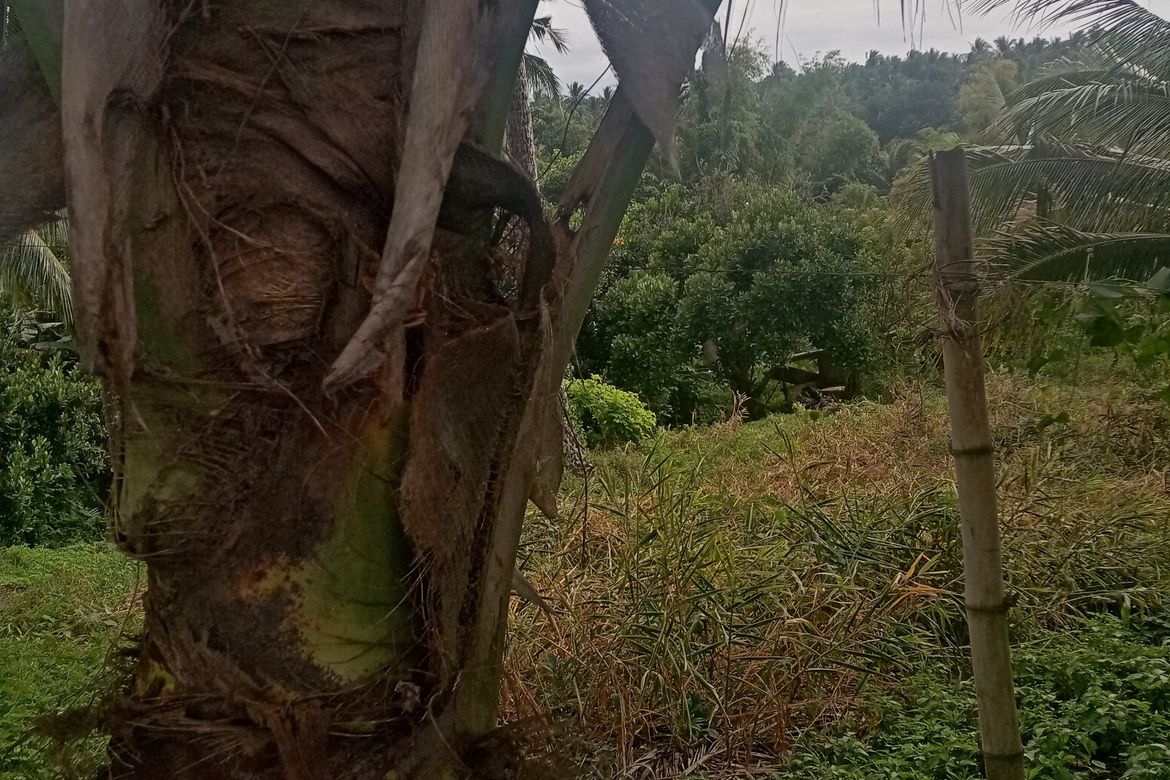 Land for Sale in Malabanan, Balete, Batangas – photo 3