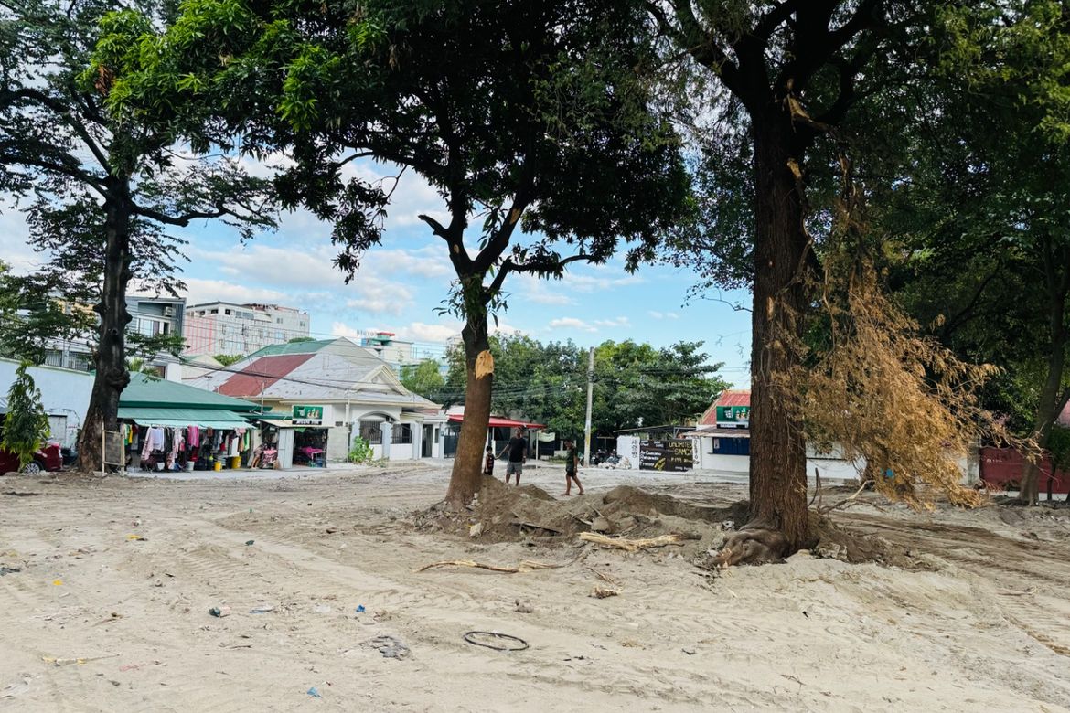 Land for Sale in Malabanias, Angeles, Pampanga – photo 5