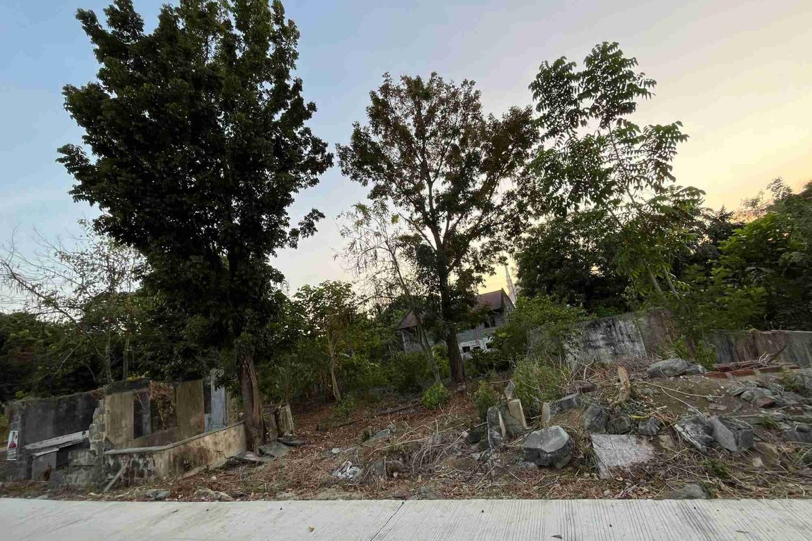 Land for Sale in Malacampa, Camiling, Tarlac – photo 5