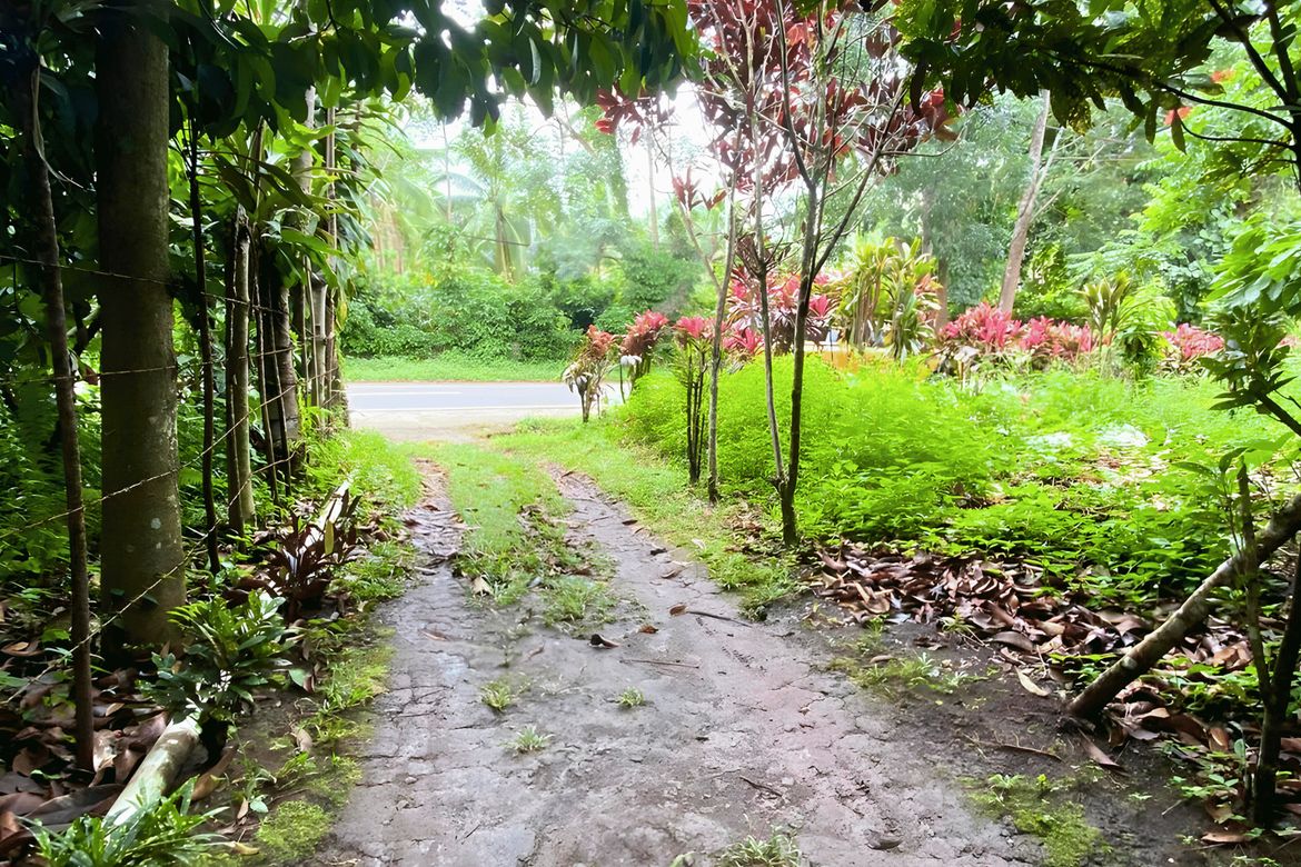 Land for Sale in Malagos, Davao City, Davao del Sur – photo 3