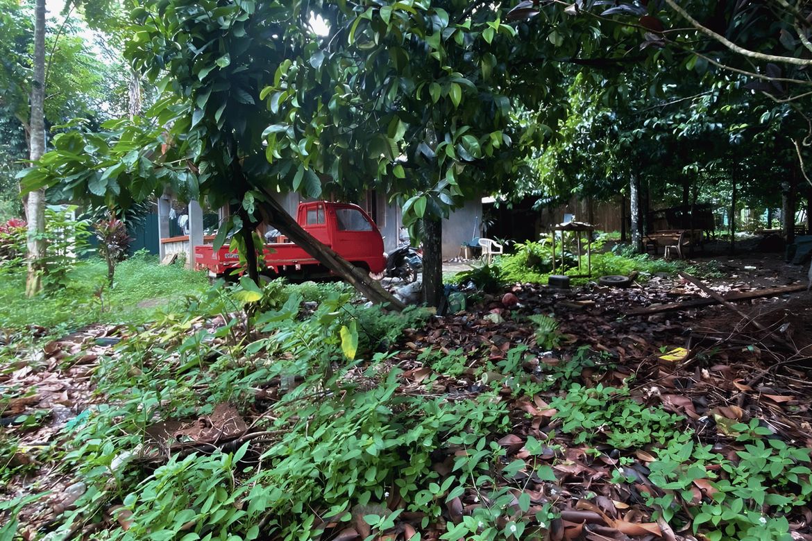 Land for Sale in Malagos, Davao City, Davao del Sur – photo 5