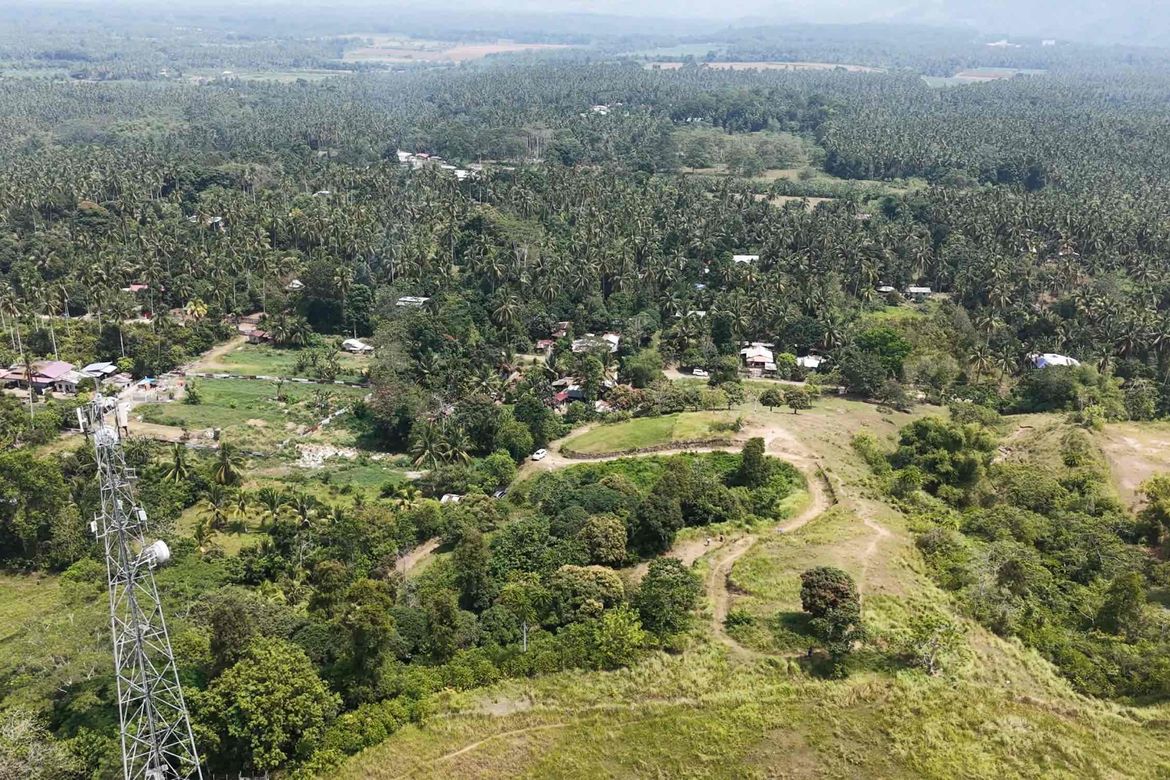Land for Sale in Malagos, Davao City, Davao del Sur – photo 4