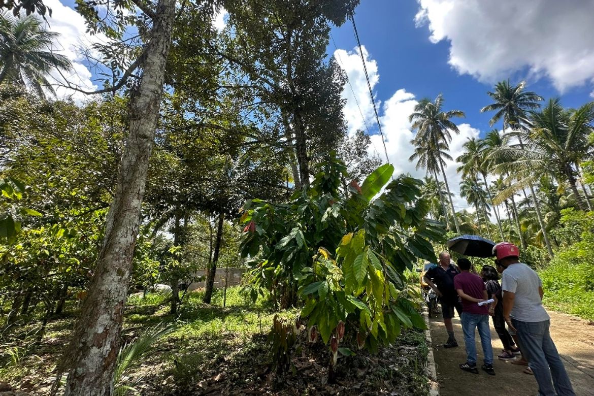 Land for Sale in Malagos, Davao City, Davao del Sur – photo 2