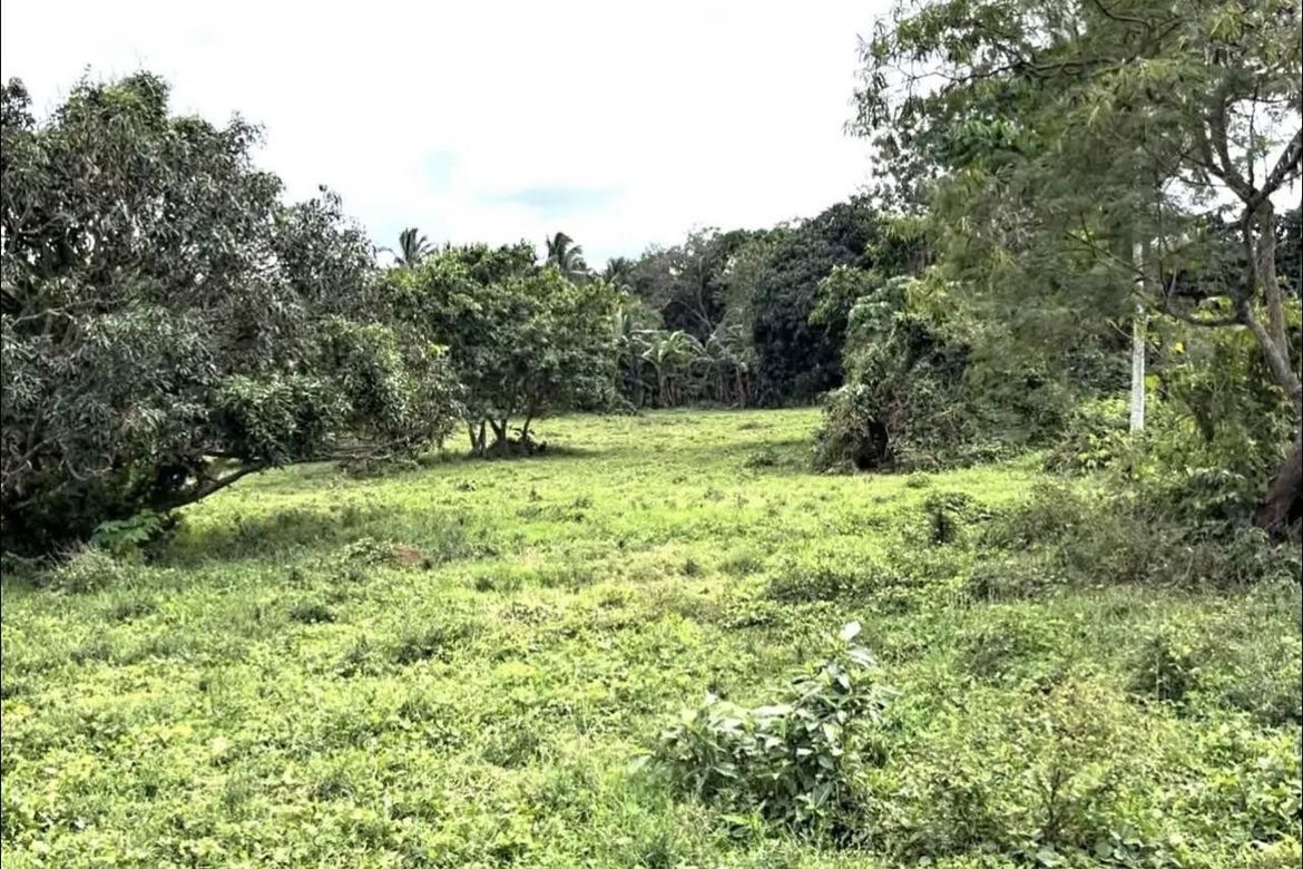 Land for Sale in Malainin, Ibaan, Batangas