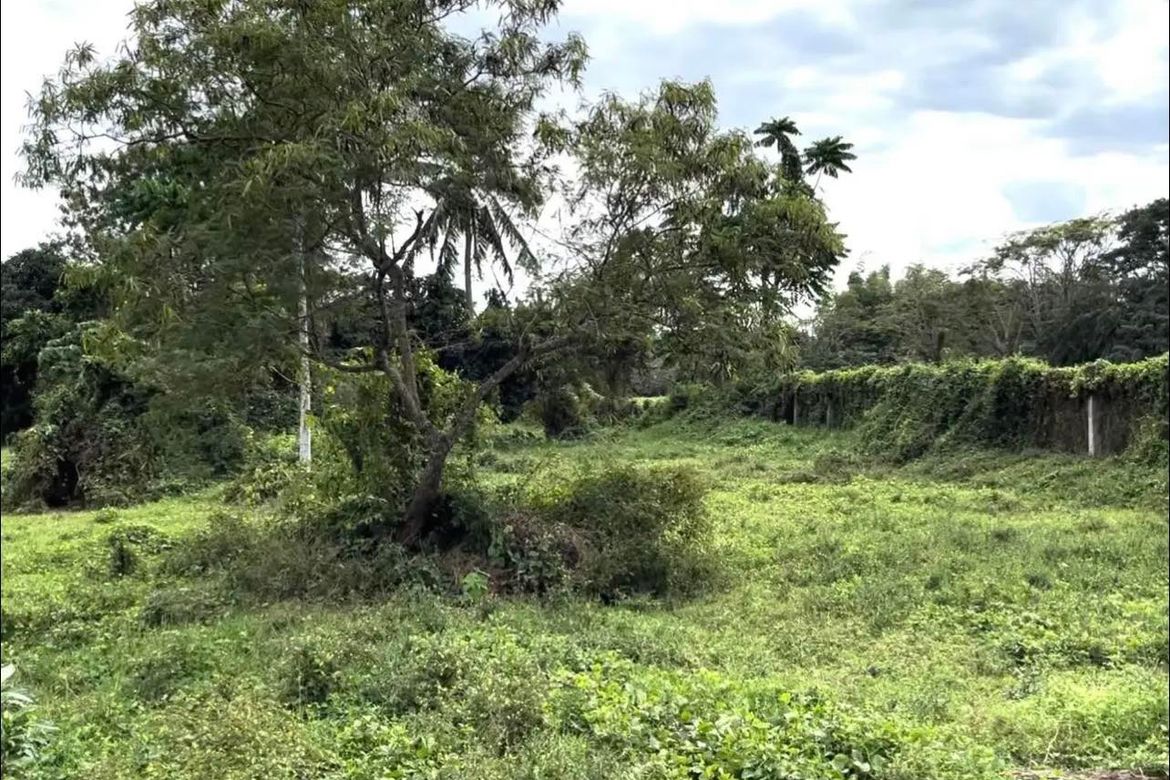 Land for Sale in Malainin, Ibaan, Batangas – photo 3