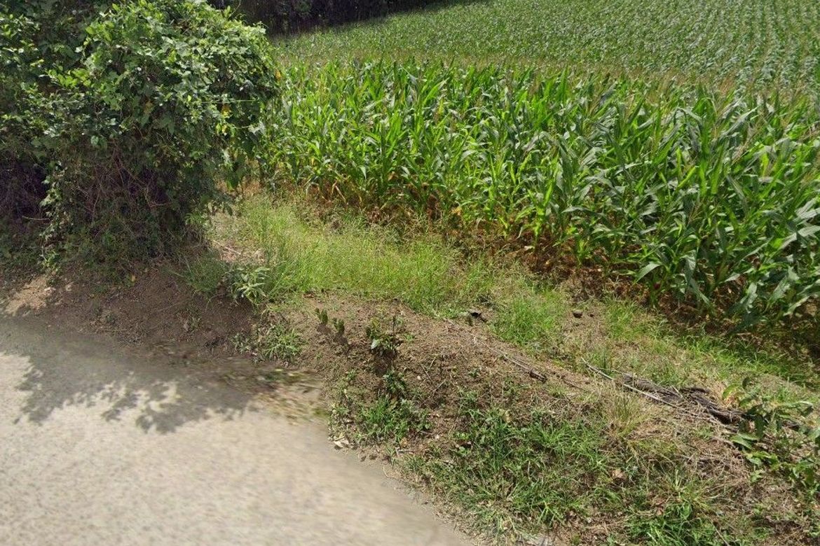 Land for Sale in Malaking Pulo, Tanauan, Batangas – photo 5