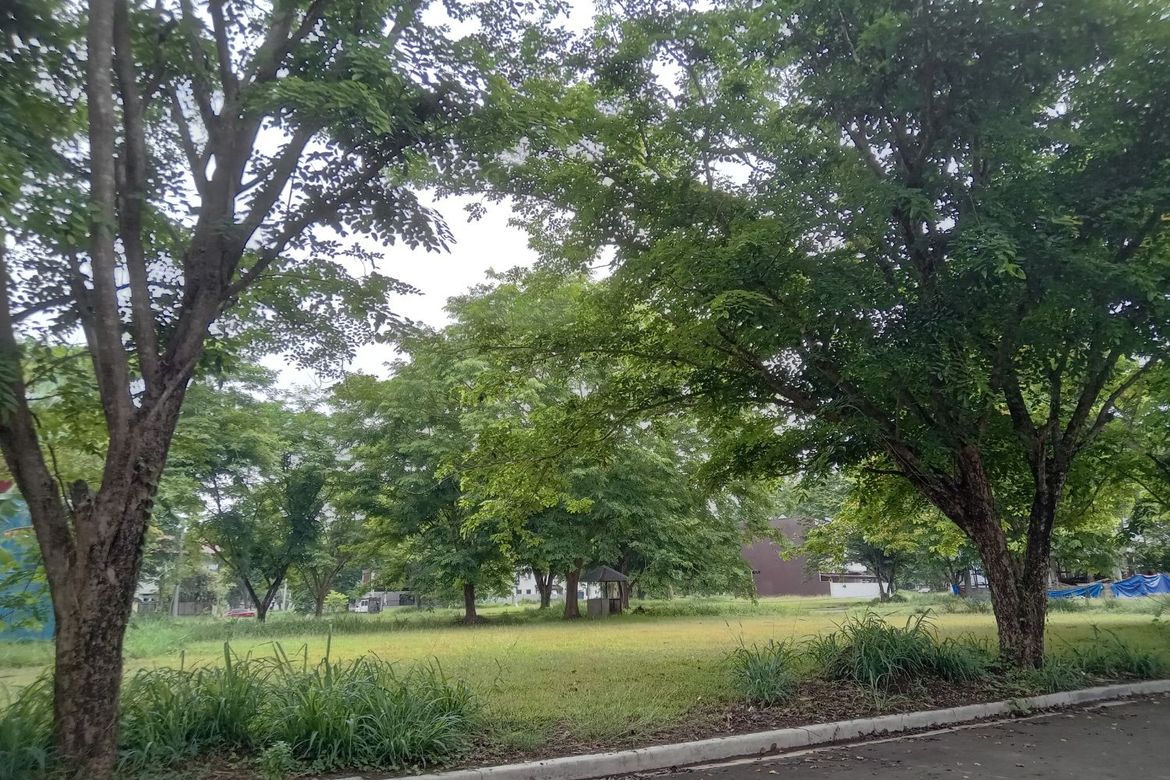 Land for Sale in Malamig, Biñan, Laguna – photo 4
