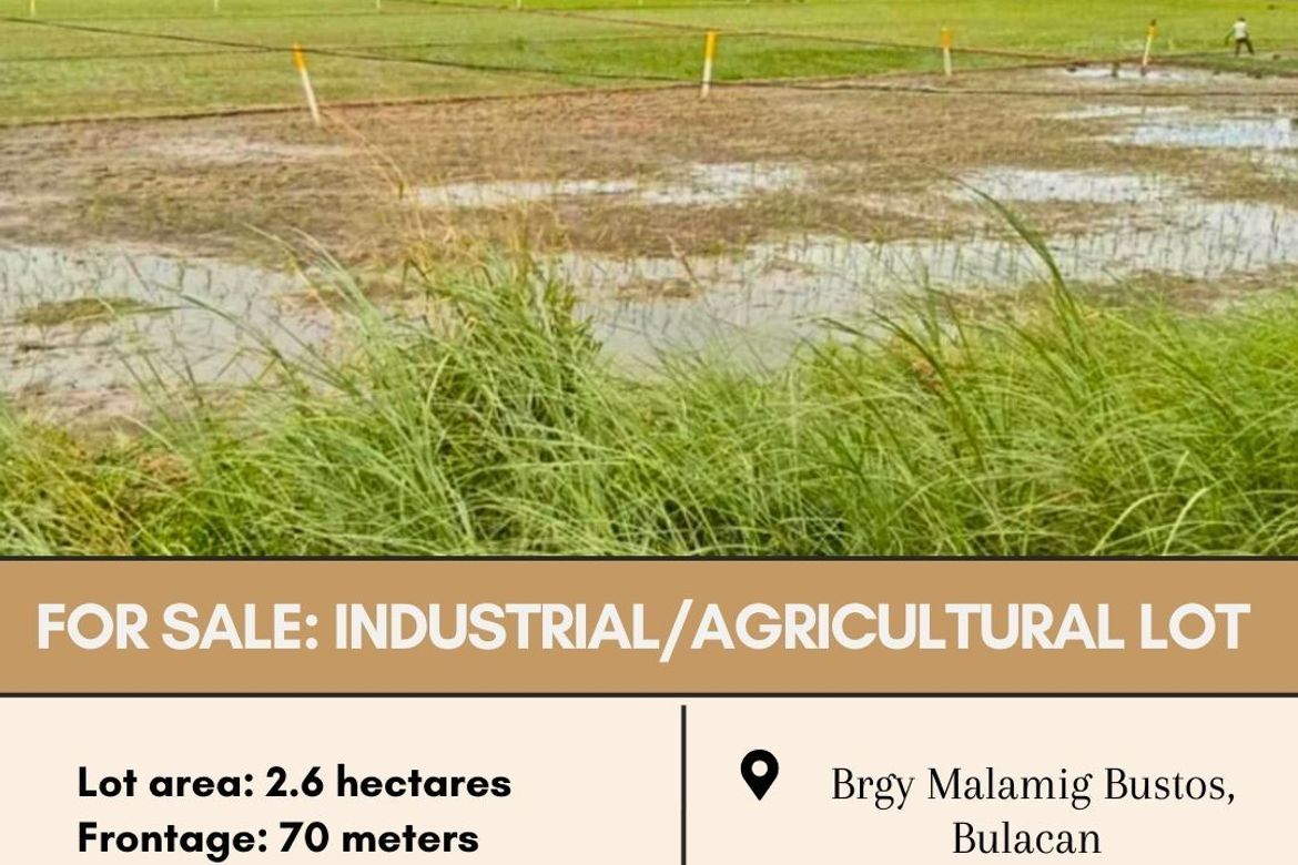 Land for Sale in Malamig, Bustos, Bulacan