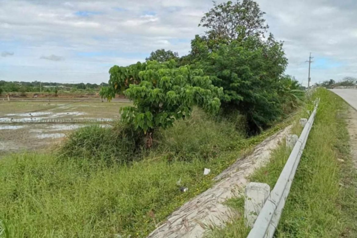 Land for Sale in Malamig, Bustos, Bulacan – photo 2