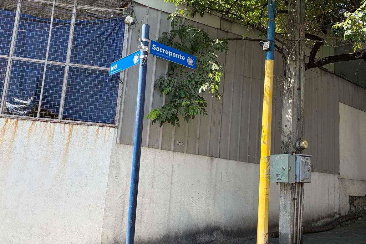 Land for Sale in Malamig, Mandaluyong, Metro Manila near MRT-3 Boni