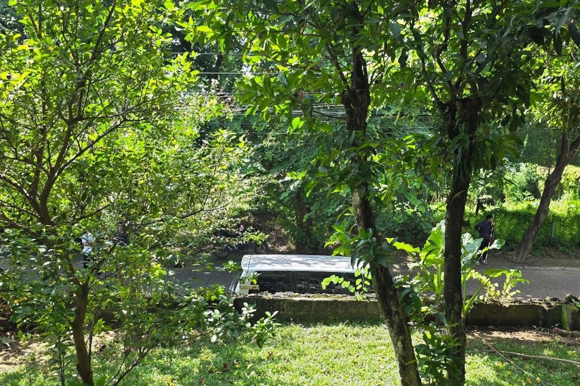 Land for Sale in Malanday, Marikina, Metro Manila – photo 3