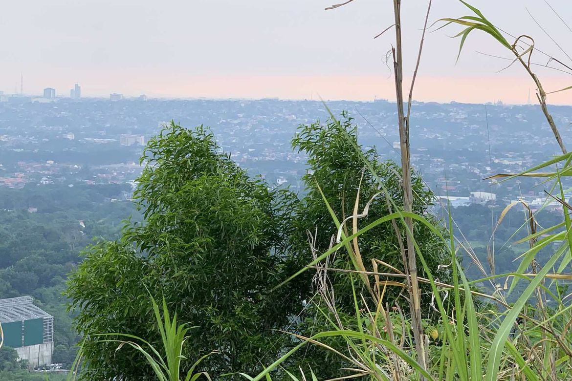 Land for Sale in Malanday, San Mateo, Rizal – photo 6