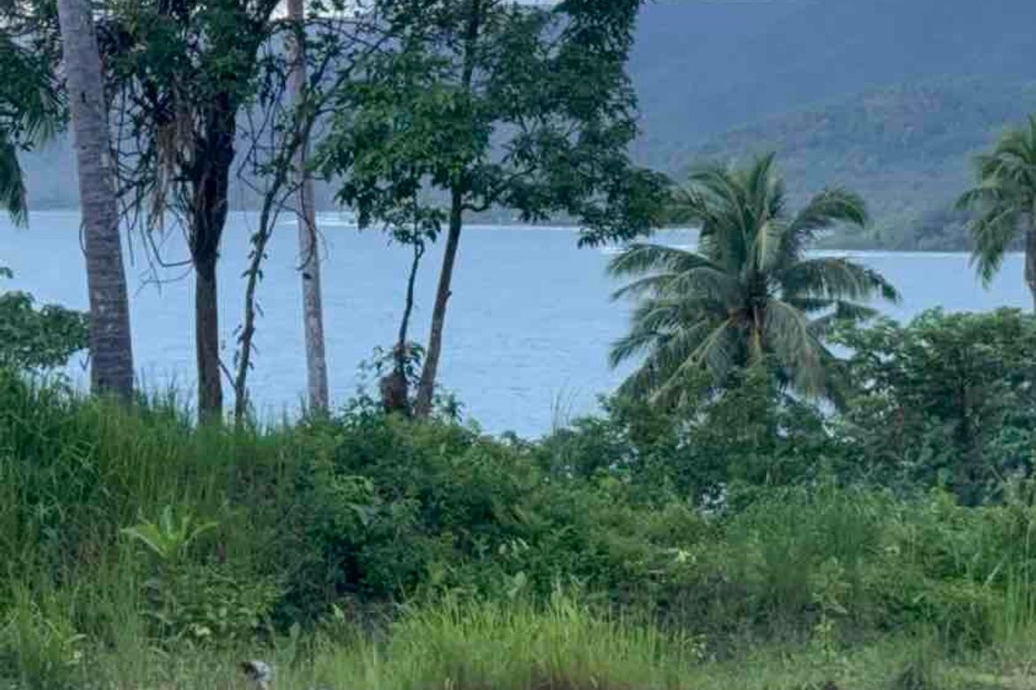 Land for Sale in Malapad, Real, Quezon