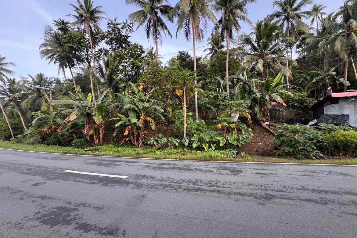 Land for Sale in Malapad, Real, Quezon – photo 2