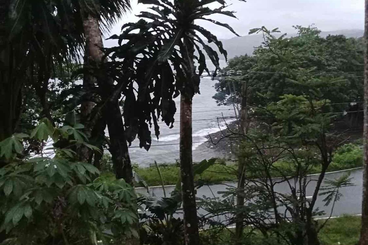 Land for Sale in Malapad, Real, Quezon – photo 4
