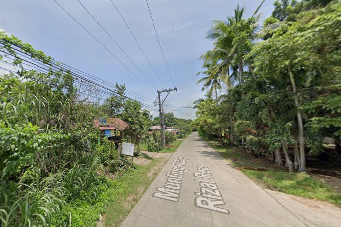Land for Sale in Malaya, Rosario, Batangas – photo 3