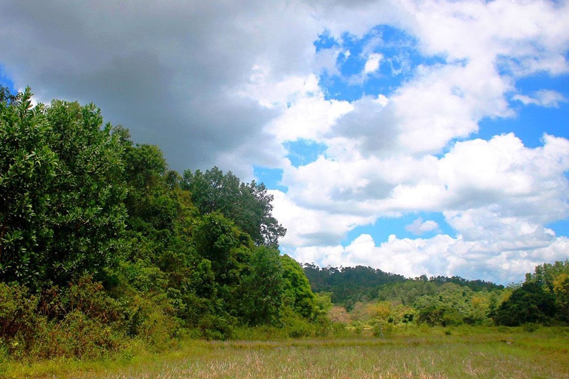 Land for Sale in Malcampo, Roxas, Palawan – photo 6