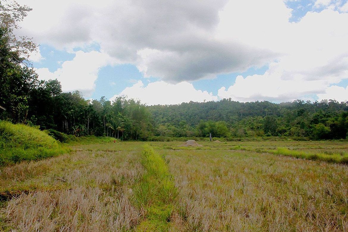 Land for Sale in Malcampo, Roxas, Palawan – photo 7