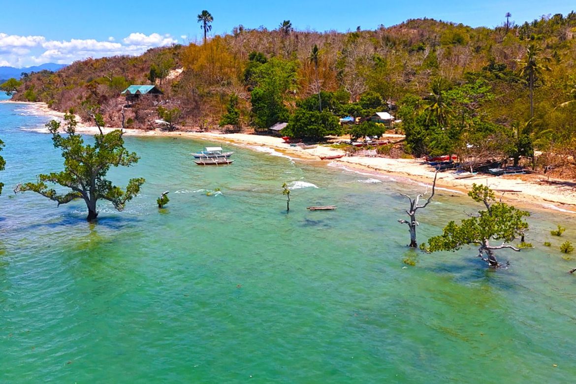 Land for Sale in Malcampo, Roxas, Palawan – photo 2