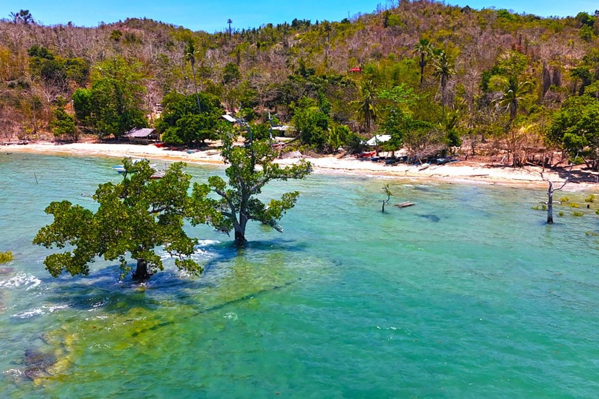 Land for Sale in Malcampo, Roxas, Palawan – photo 3