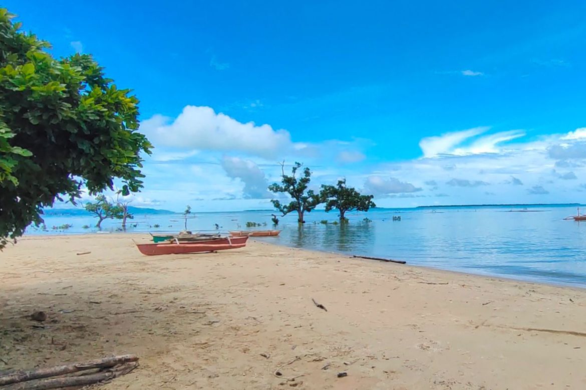 Land for Sale in Malcampo, Roxas, Palawan – photo 7