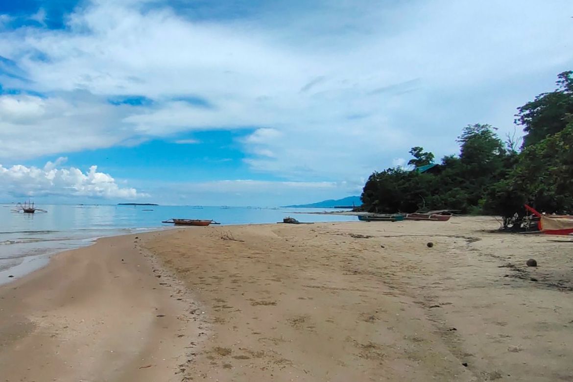 Land for Sale in Malcampo, Roxas, Palawan – photo 8