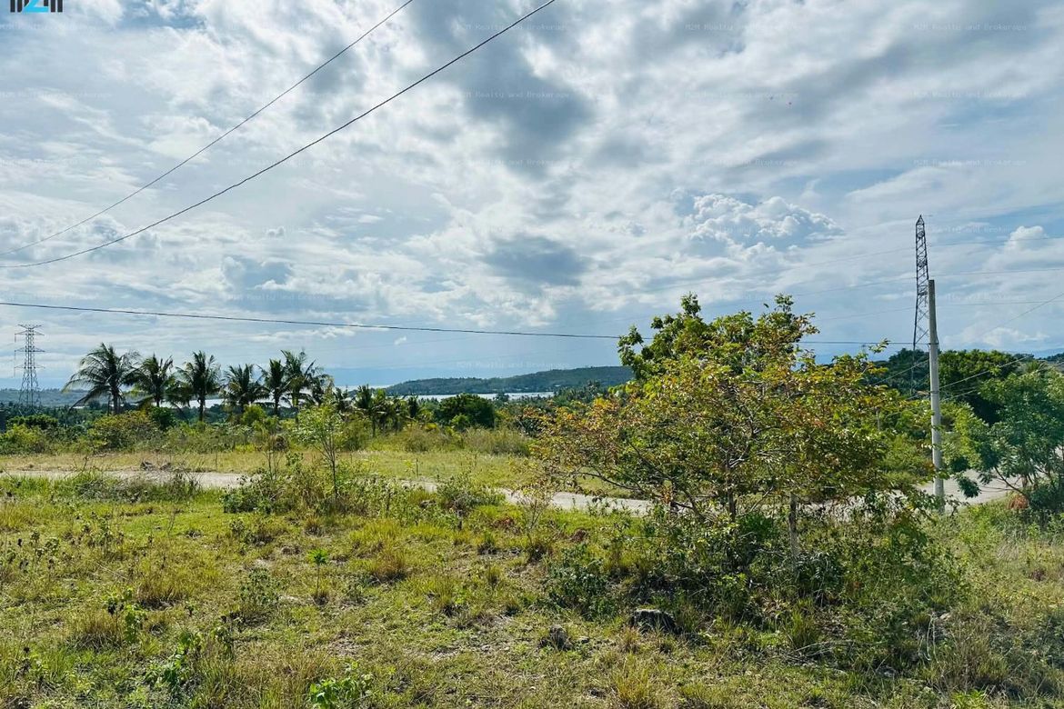 Land for Sale in Malhiao, Badian, Cebu – photo 3