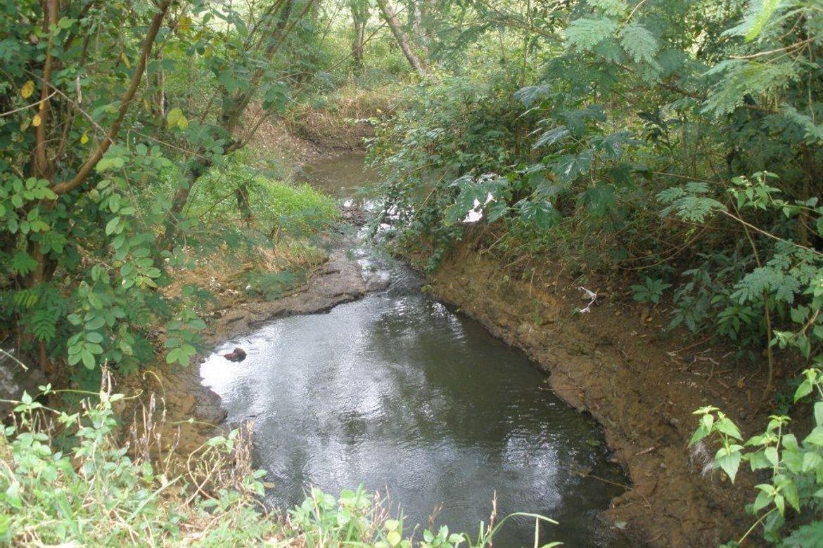 Land for Sale in Malibay, San Miguel, Bulacan – photo 4