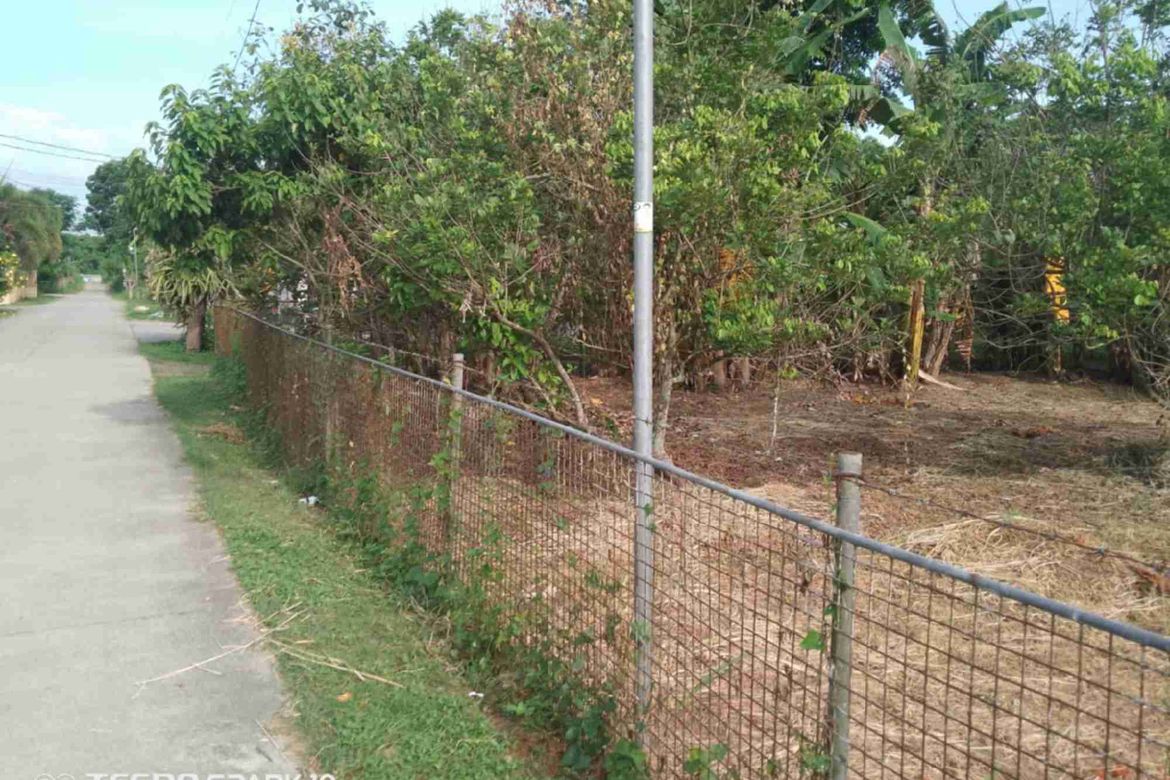 Land for Sale in Maligaya, Rosario, Batangas – photo 2