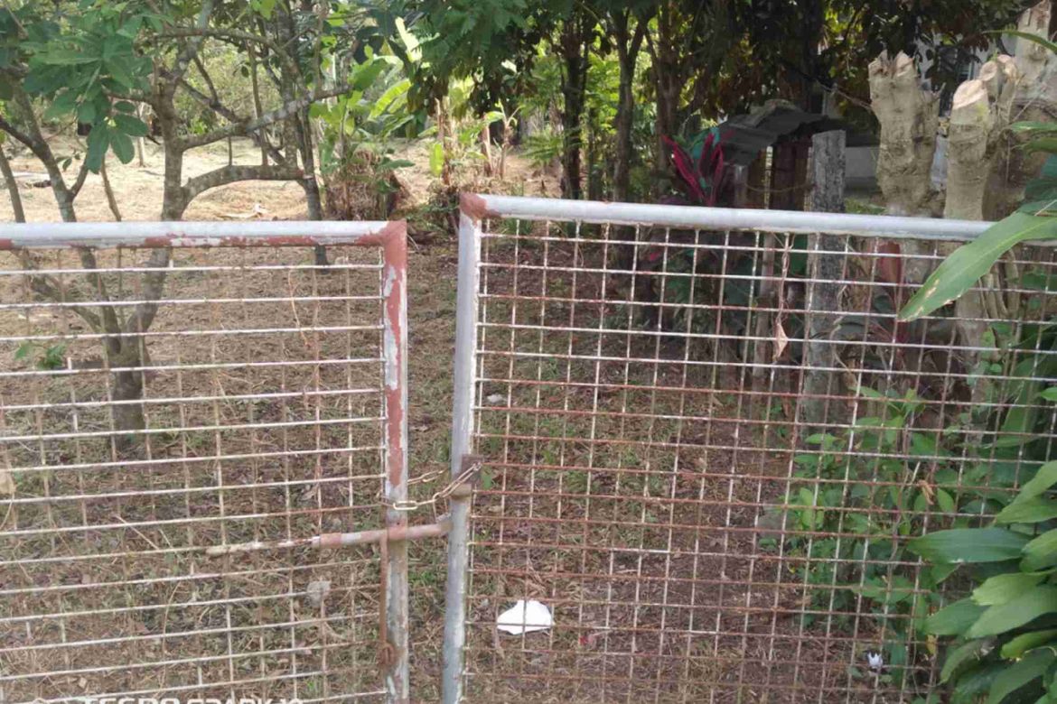 Land for Sale in Maligaya, Rosario, Batangas – photo 4