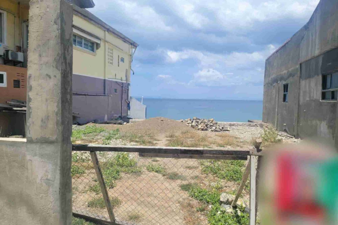 Land for Sale in Malimatoc I, Mabini, Batangas – photo 2