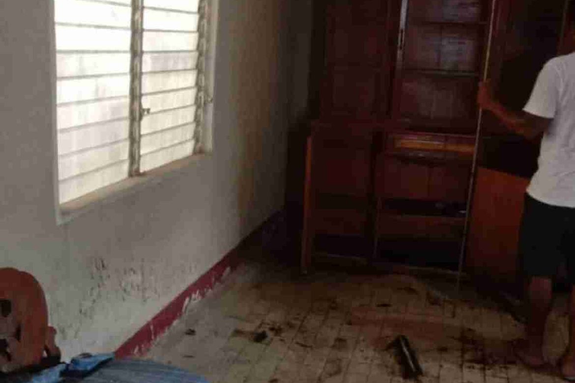 Land for Sale in Malimatoc I, Mabini, Batangas – photo 4