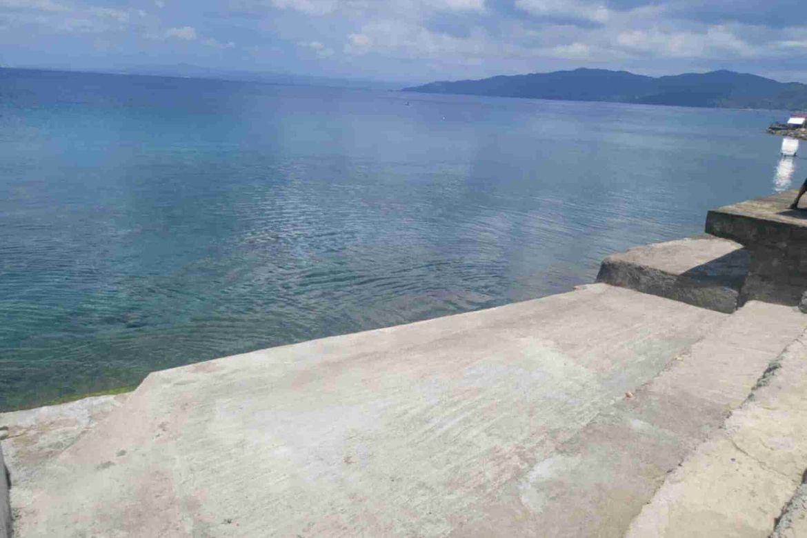 Land for Sale in Malimatoc I, Mabini, Batangas – photo 7