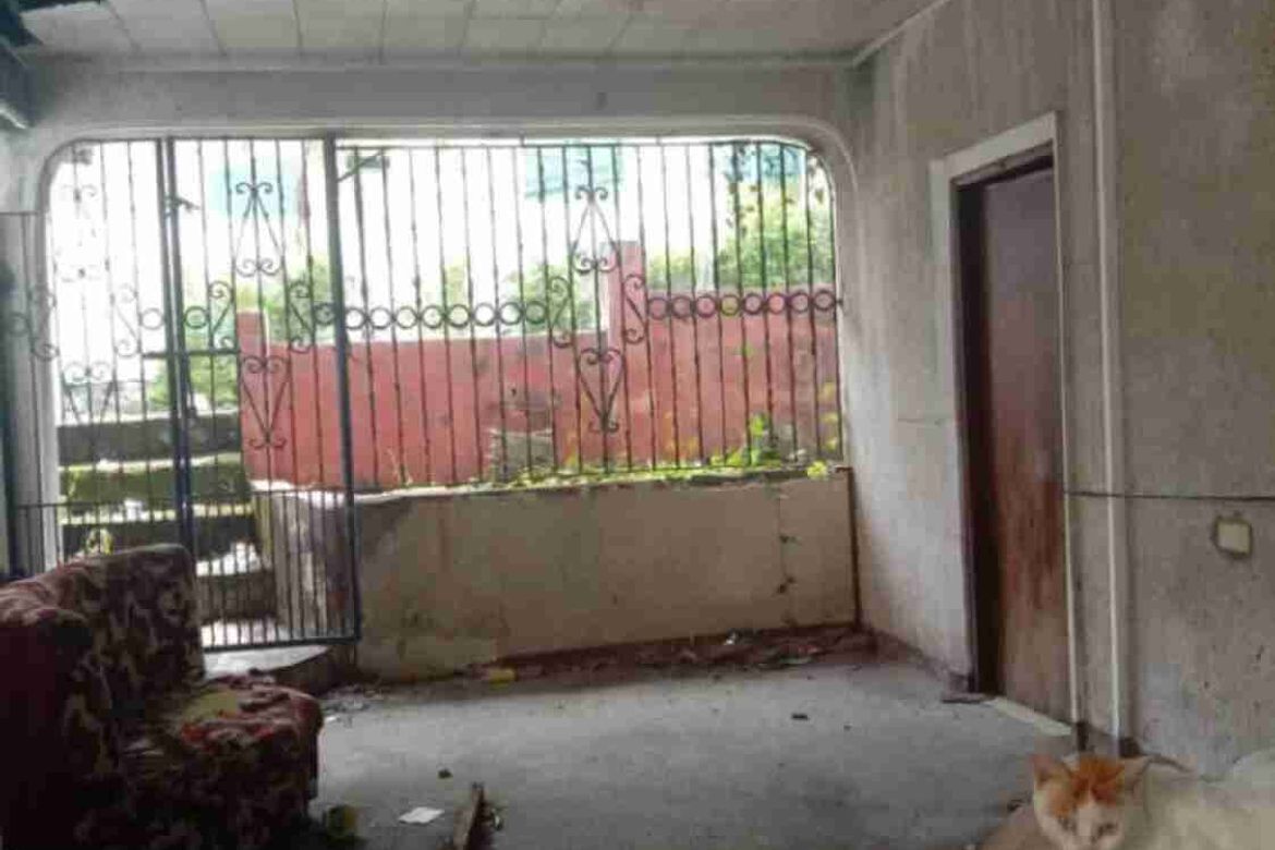 Land for Sale in Malimatoc I, Mabini, Batangas – photo 8