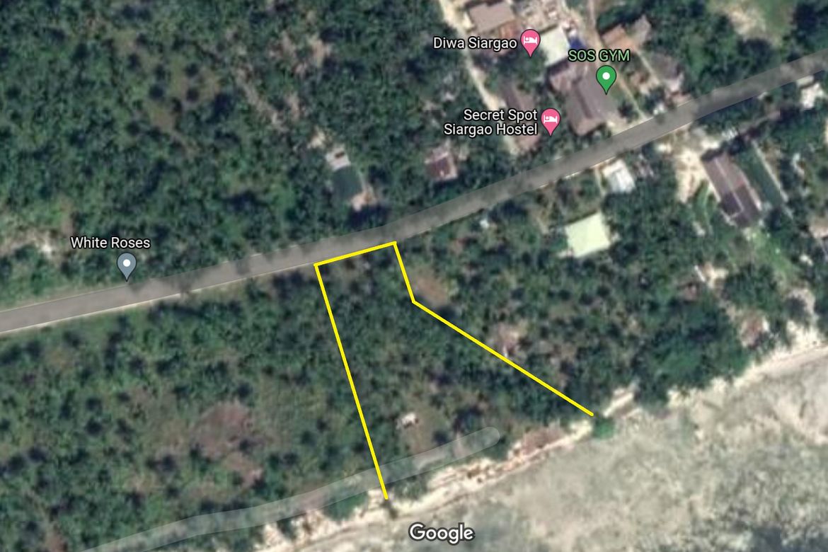Land for Sale in Malinao, General Luna, Surigao del Norte – photo 2