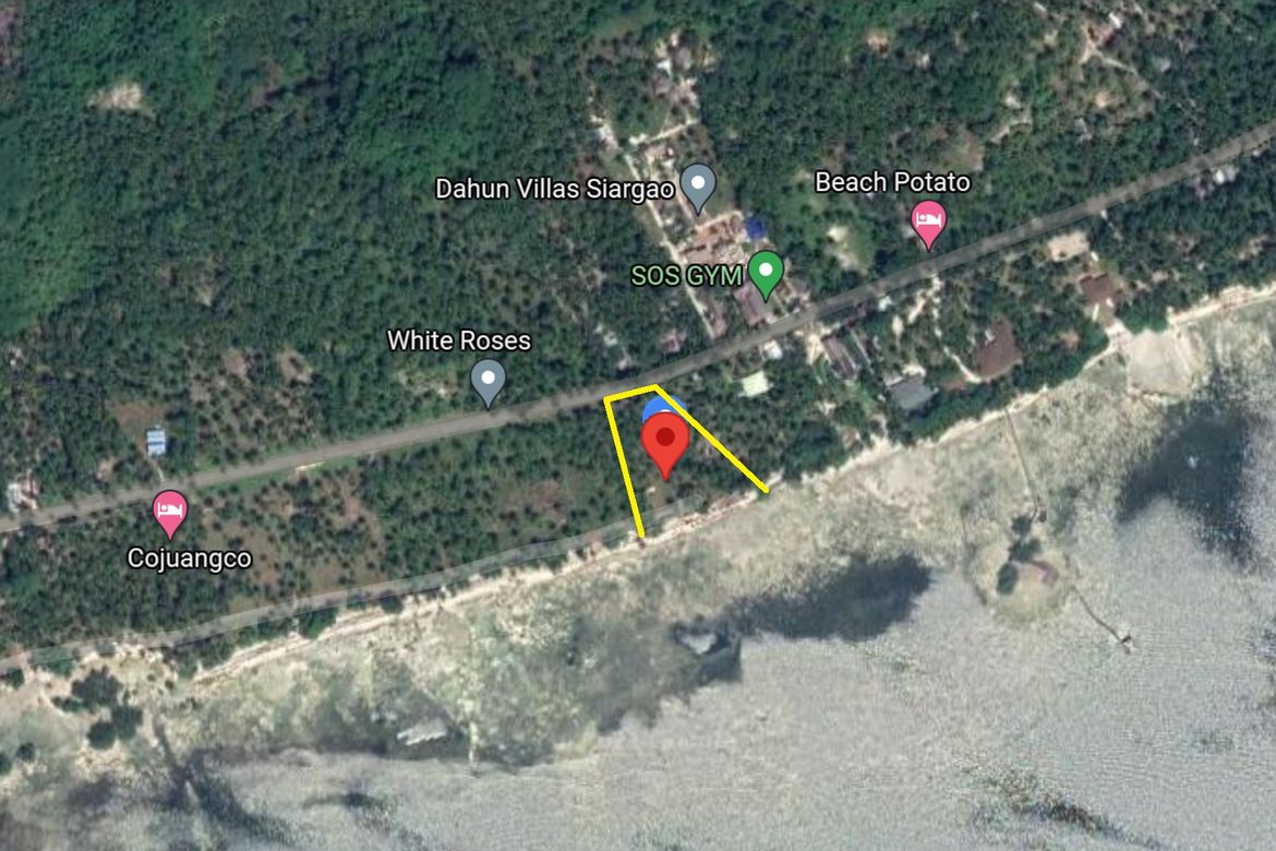 Land for Sale in Malinao, General Luna, Surigao del Norte – photo 3