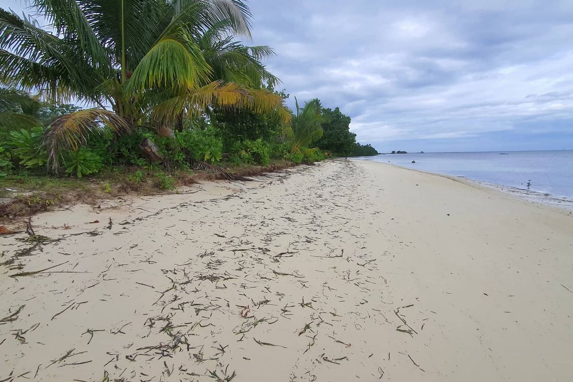 Land for Sale in Malinao, General Luna, Surigao del Norte – photo 4