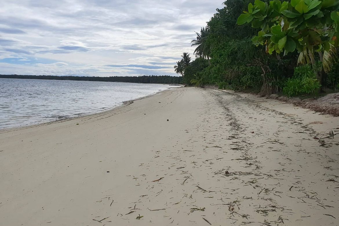 Land for Sale in Malinao, General Luna, Surigao del Norte – photo 5