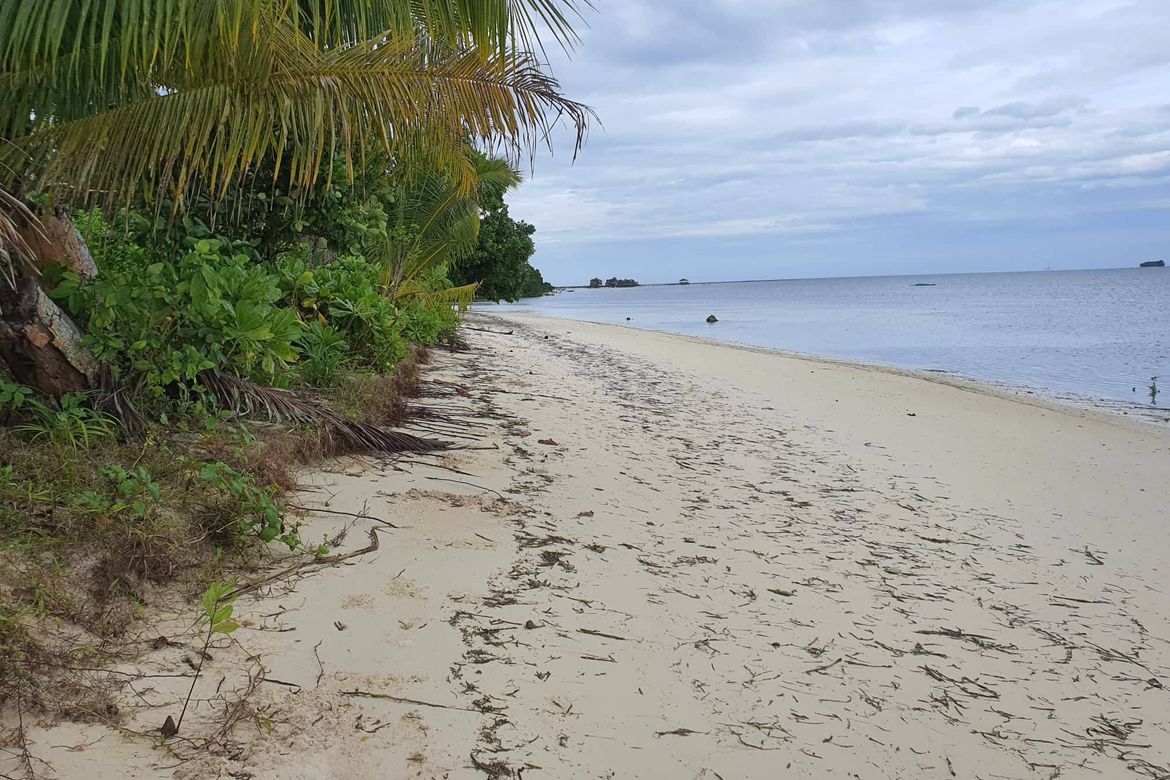 Land for Sale in Malinao, General Luna, Surigao del Norte – photo 6