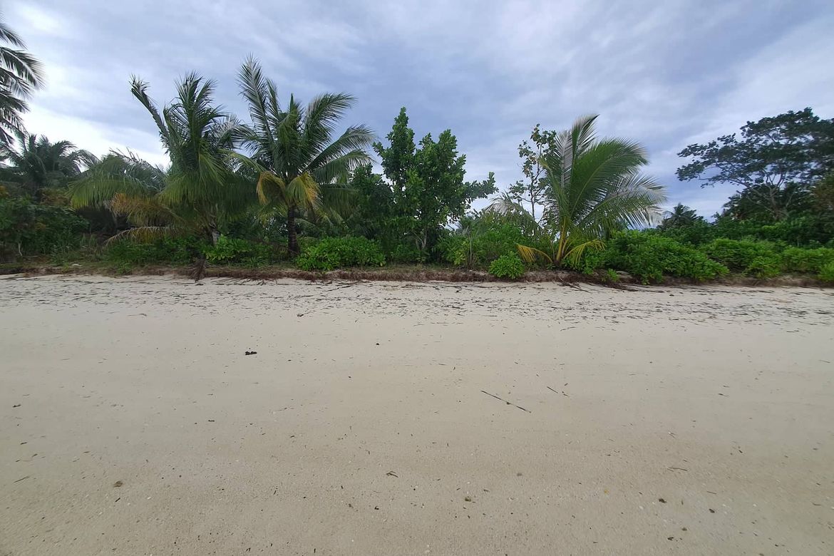 Land for Sale in Malinao, General Luna, Surigao del Norte – photo 7