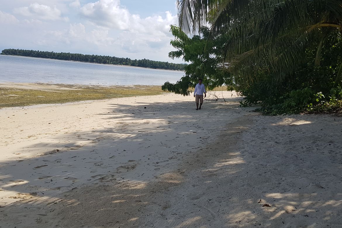 Land for Sale in Malinao, General Luna, Surigao del Norte – photo 4