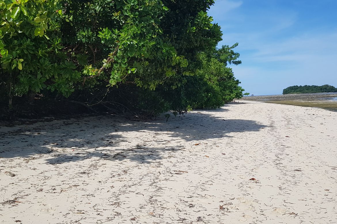 Land for Sale in Malinao, General Luna, Surigao del Norte – photo 7
