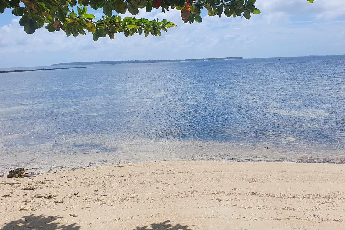 Land for Sale in Malinao, General Luna, Surigao del Norte – photo 2