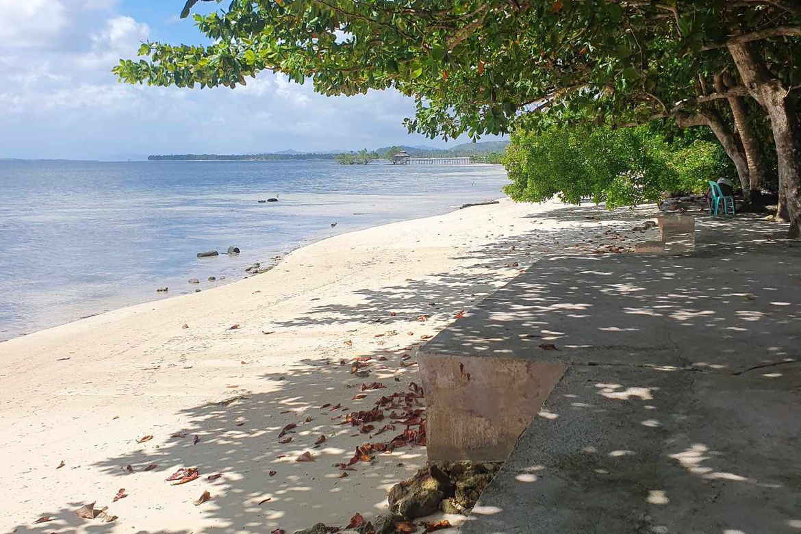 Land for Sale in Malinao, General Luna, Surigao del Norte – photo 4