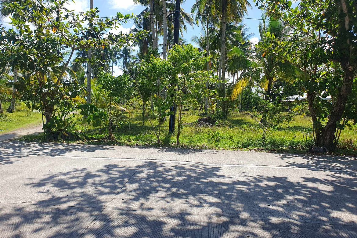 Land for Sale in Malinao, General Luna, Surigao del Norte – photo 6