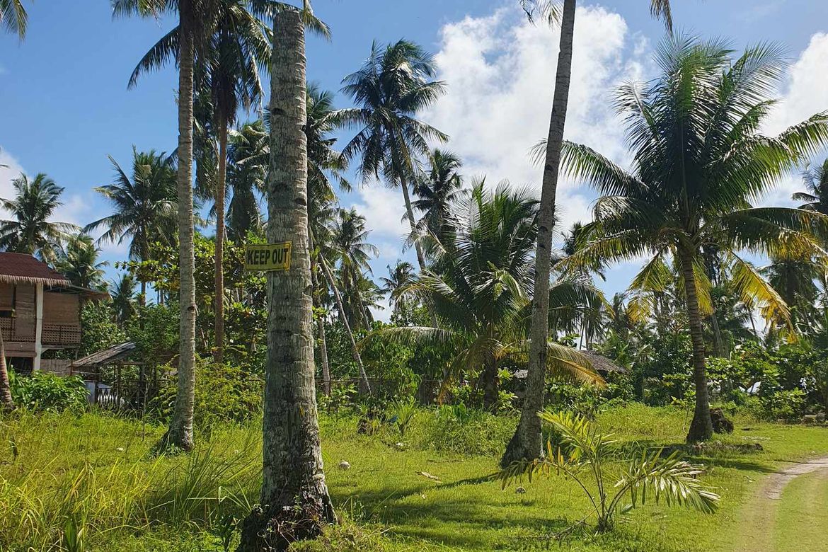Land for Sale in Malinao, General Luna, Surigao del Norte – photo 8