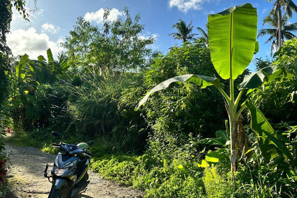 Land for Sale in Malinao, General Luna, Surigao del Norte – photo 8
