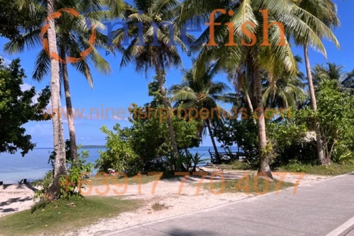 Land for Sale in Malinao, General Luna, Surigao del Norte – photo 5